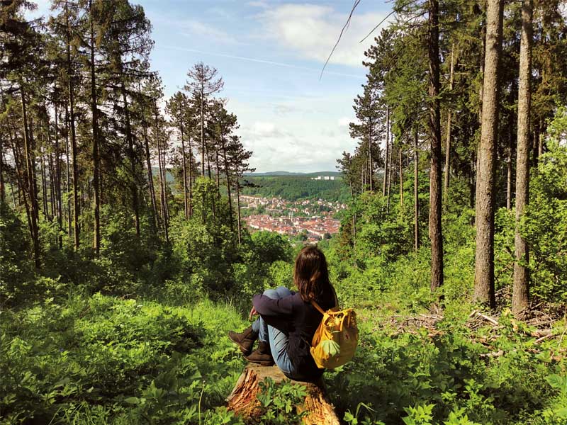 Wald-Allianz tagt in Meiningen – Fotowettbewerb startet im Ma