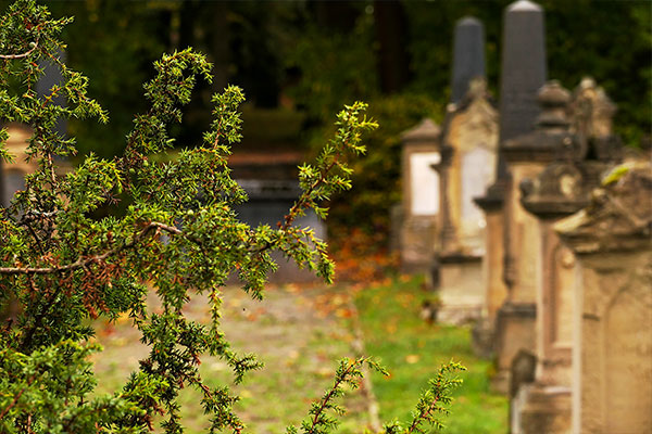 Gedenkveranstaltung am 8. Mai auf dem Parkfriedhof Meiningen
